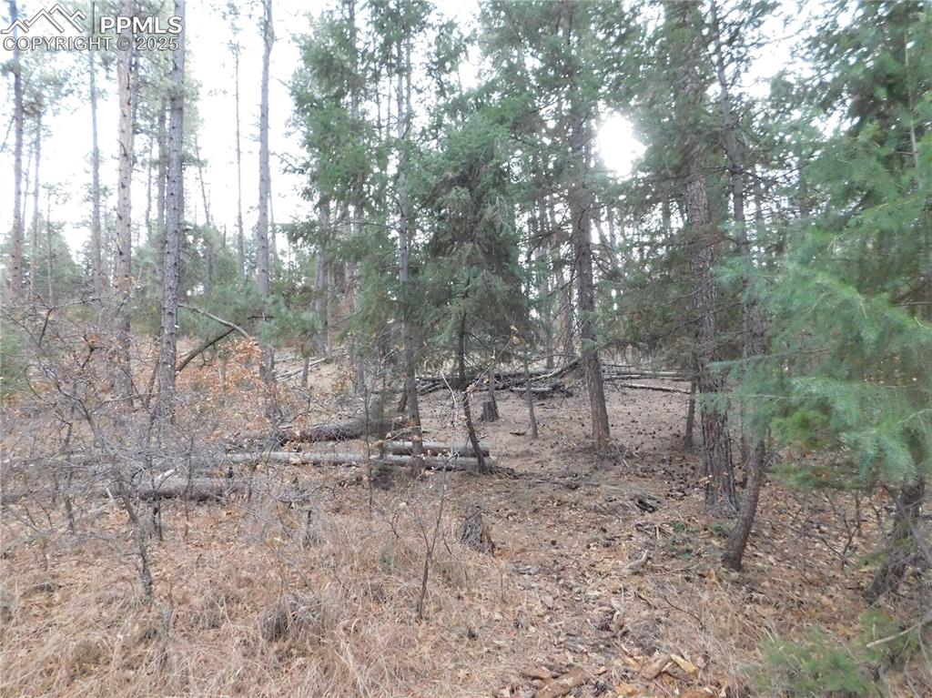 8139 Bannock Drive Larkspur CO 80118