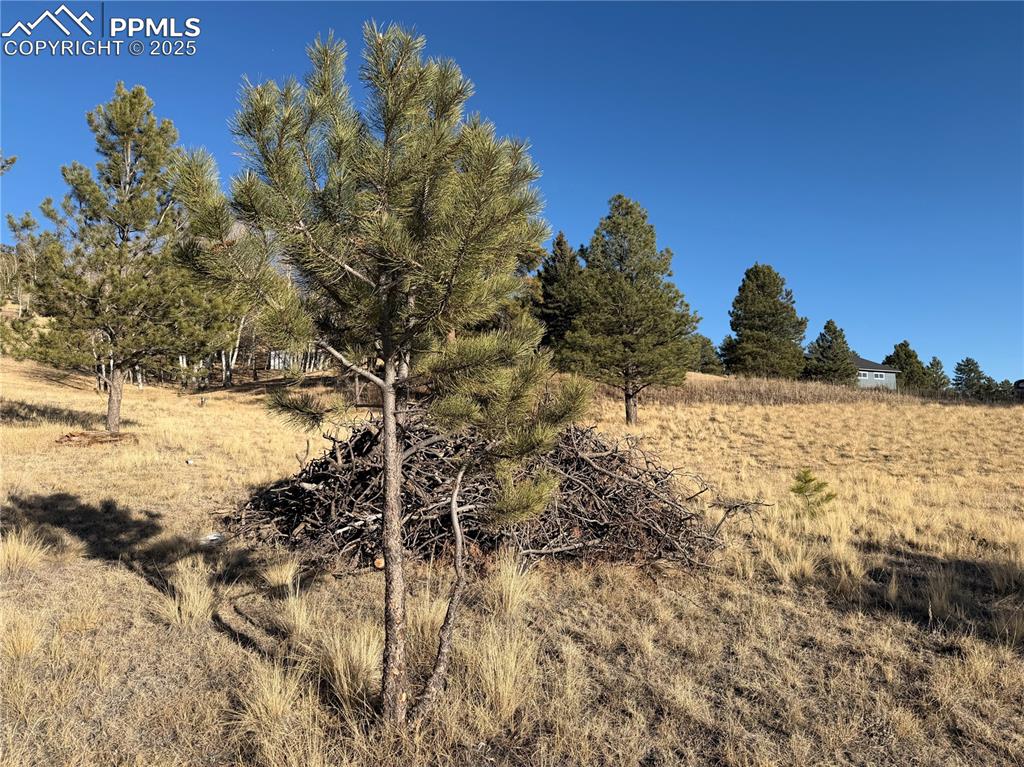 71 Elkhorn Circle Florissant CO 80816