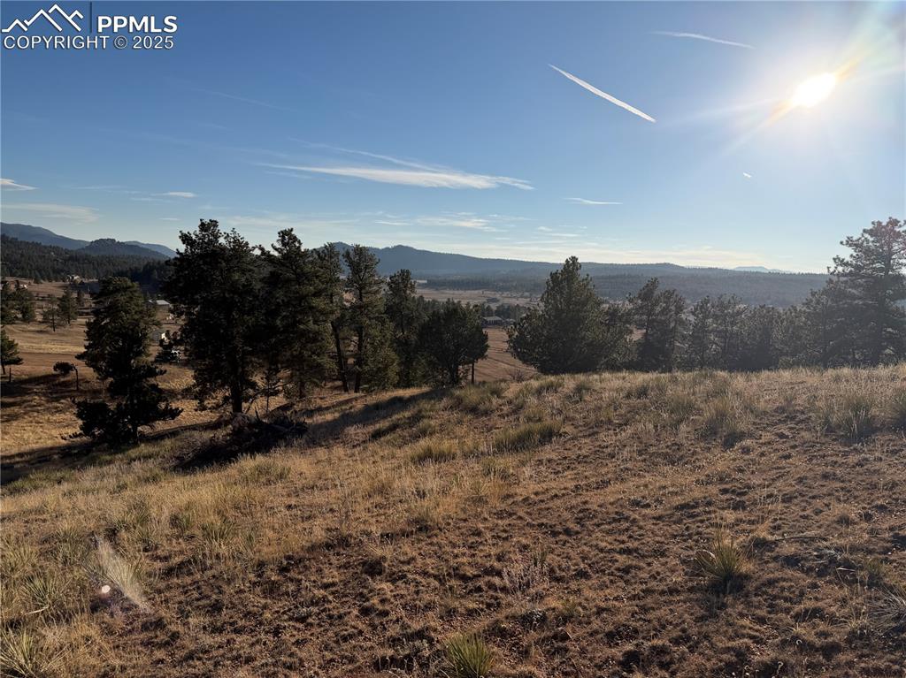 71 Elkhorn Circle Florissant CO 80816