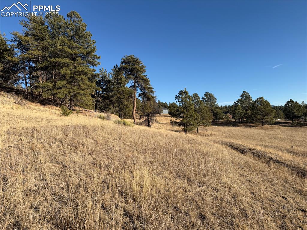 71 Elkhorn Circle Florissant CO 80816