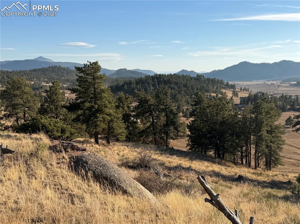 71 Elkhorn Circle Florissant CO 80816