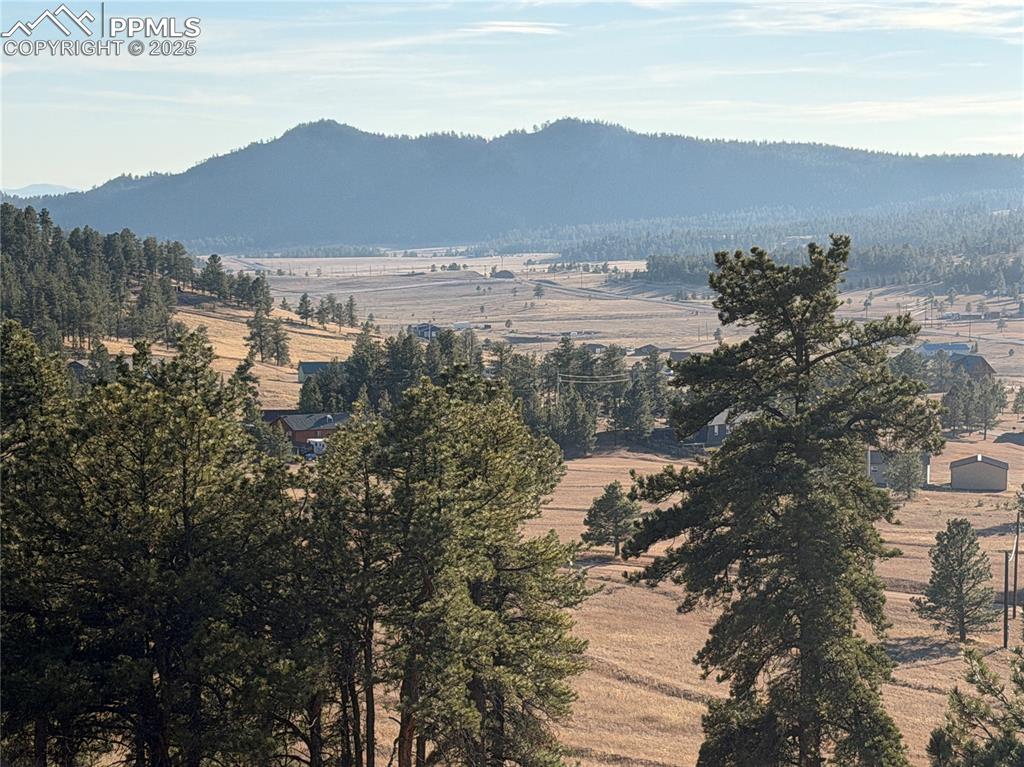 71 Elkhorn Circle Florissant CO 80816