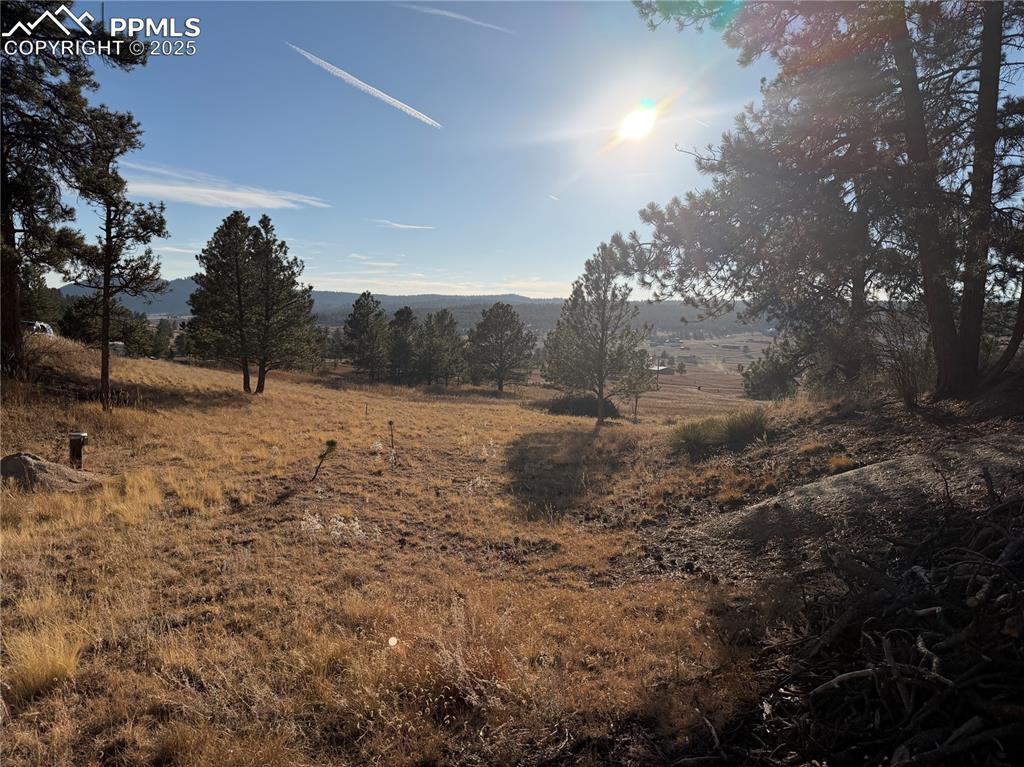 71 Elkhorn Circle Florissant CO 80816