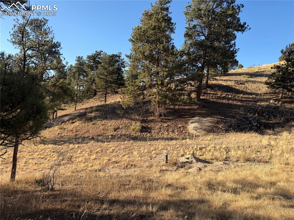 71 Elkhorn Circle Florissant CO 80816