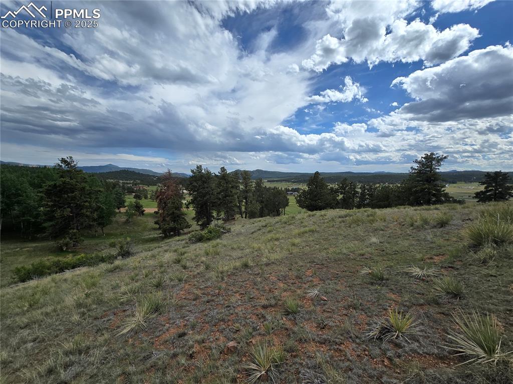 71 Elkhorn Circle Florissant CO 80816