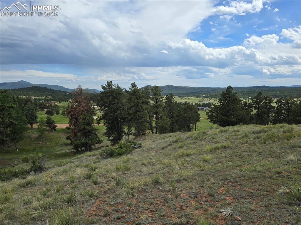 71 Elkhorn Circle Florissant CO 80816