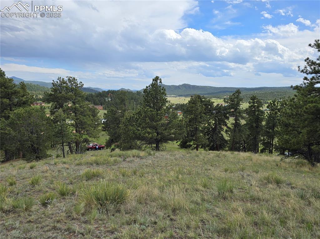 71 Elkhorn Circle Florissant CO 80816