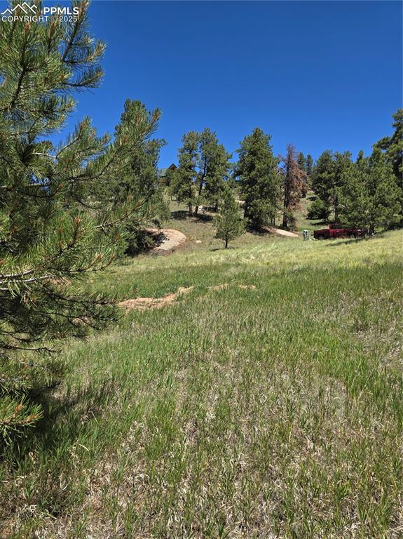 71 Elkhorn Circle Florissant CO 80816