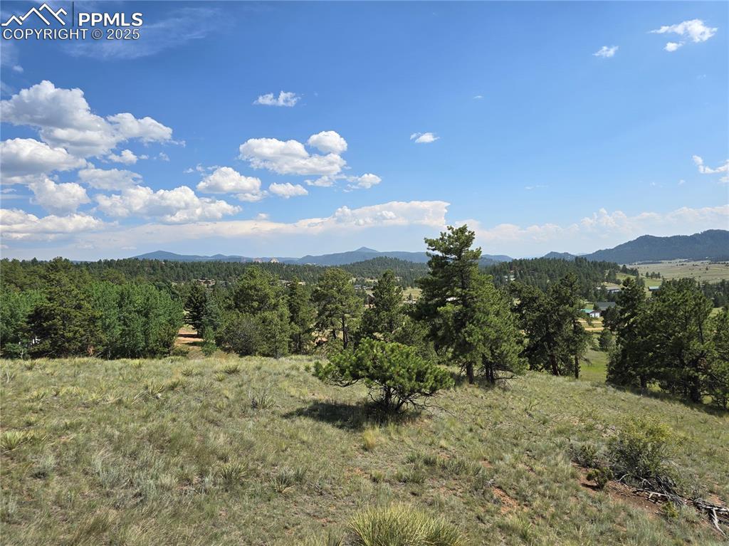 71 Elkhorn Circle Florissant CO 80816