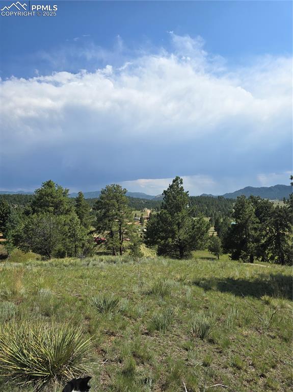 71 Elkhorn Circle Florissant CO 80816