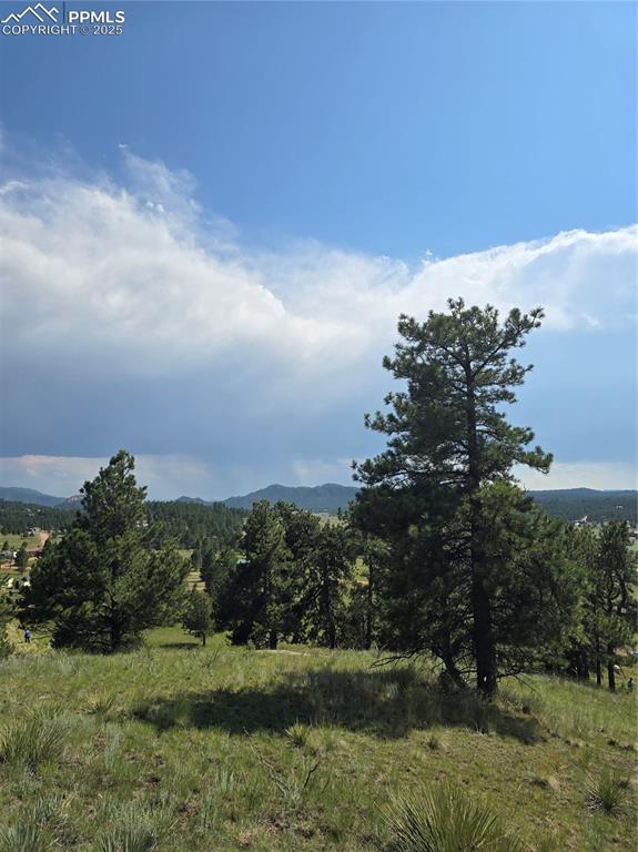 71 Elkhorn Circle Florissant CO 80816