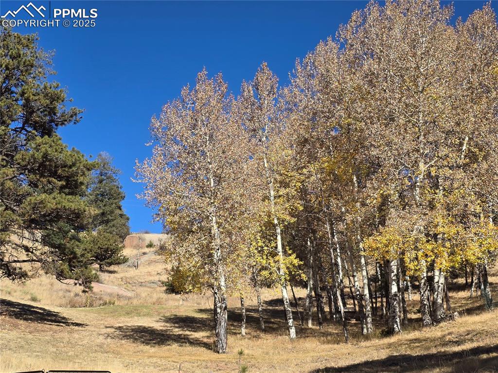 71 Elkhorn Circle Florissant CO 80816