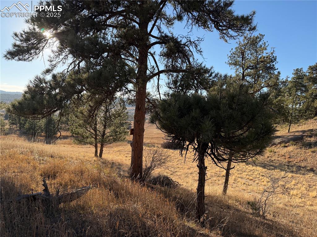 71 Elkhorn Circle Florissant CO 80816