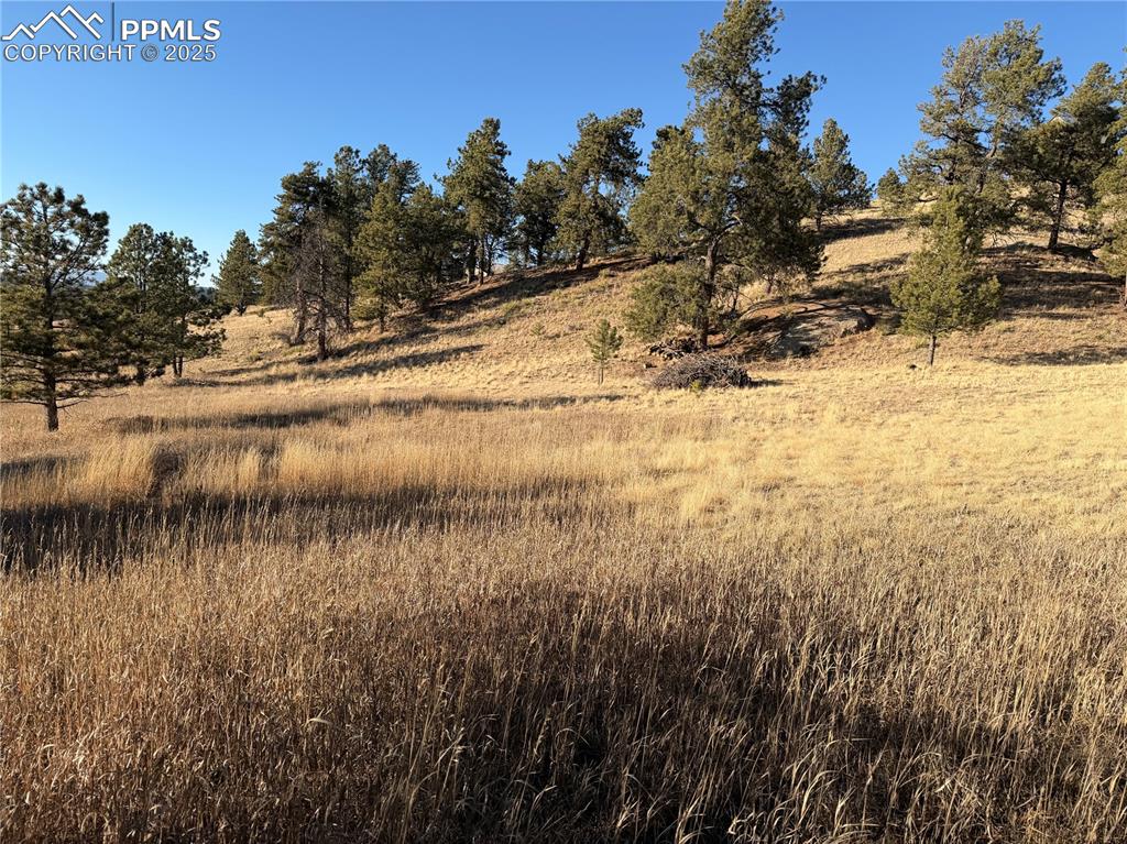71 Elkhorn Circle Florissant CO 80816