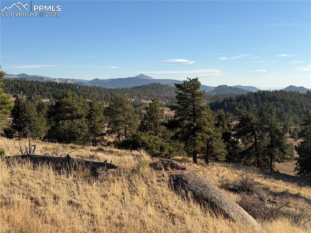 71 Elkhorn Circle Florissant CO 80816