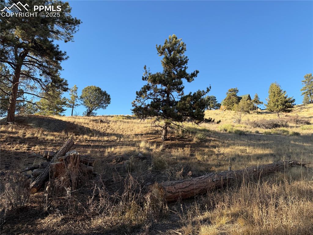 71 Elkhorn Circle Florissant CO 80816