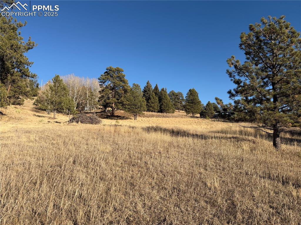 71 Elkhorn Circle Florissant CO 80816