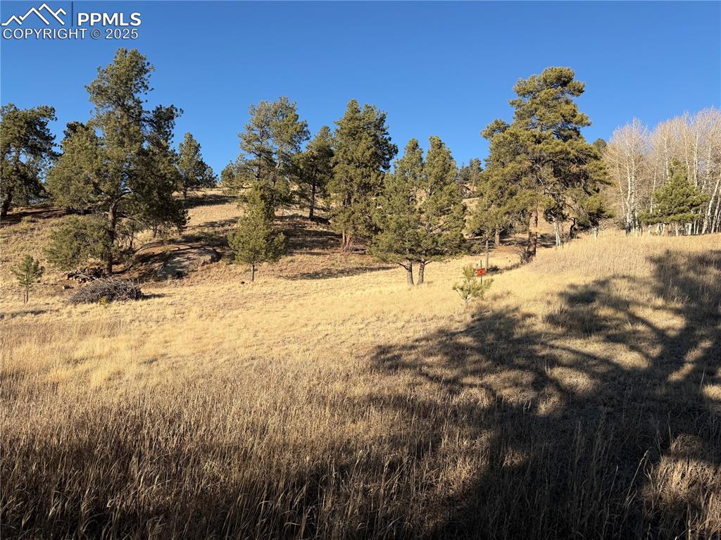 71 Elkhorn Circle Florissant CO 80816