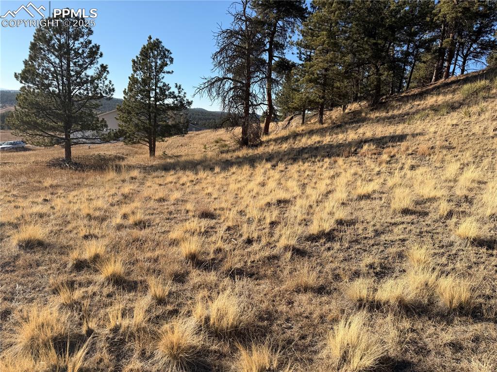 71 Elkhorn Circle Florissant CO 80816
