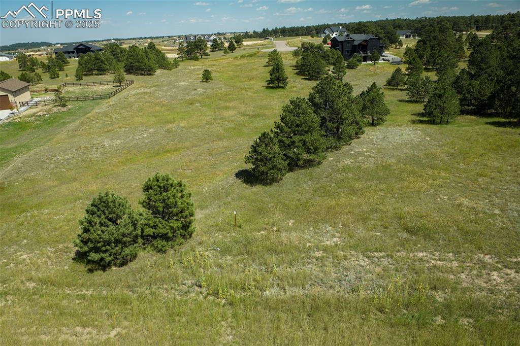 11556 Bison Meadows Court Colorado Springs CO 80908