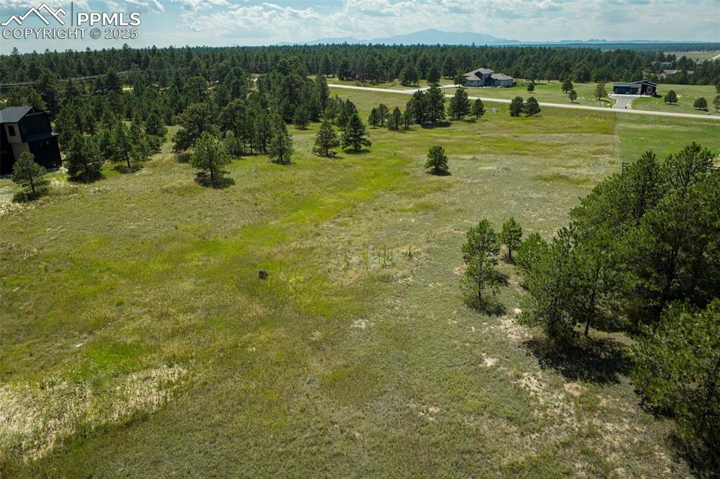 11556 Bison Meadows Court Colorado Springs CO 80908