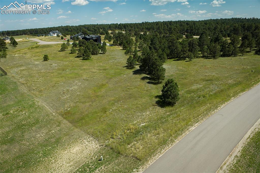 11556 Bison Meadows Court Colorado Springs CO 80908