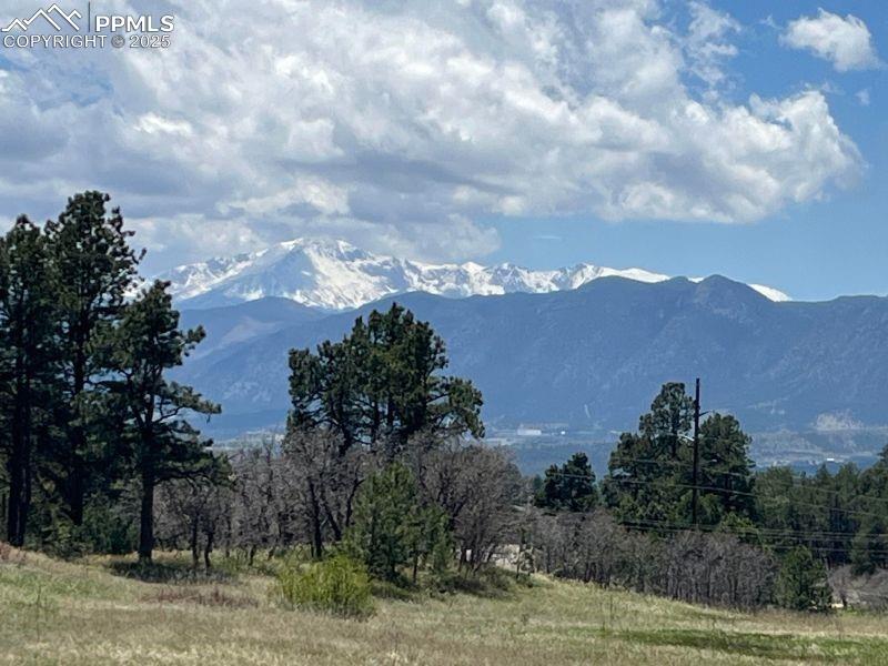 17147 Copper Valley Court Monument CO 80132