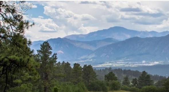 17147 Copper Valley Court Monument CO 80132