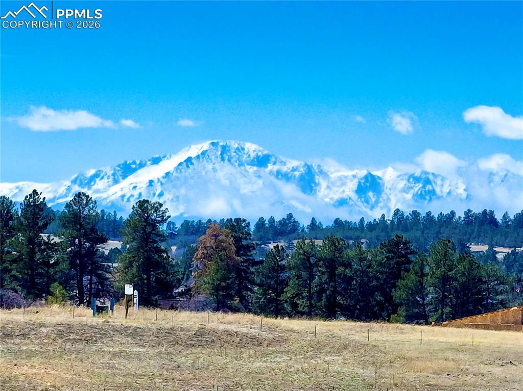 2568 Fox View Trail Franktown CO 80116