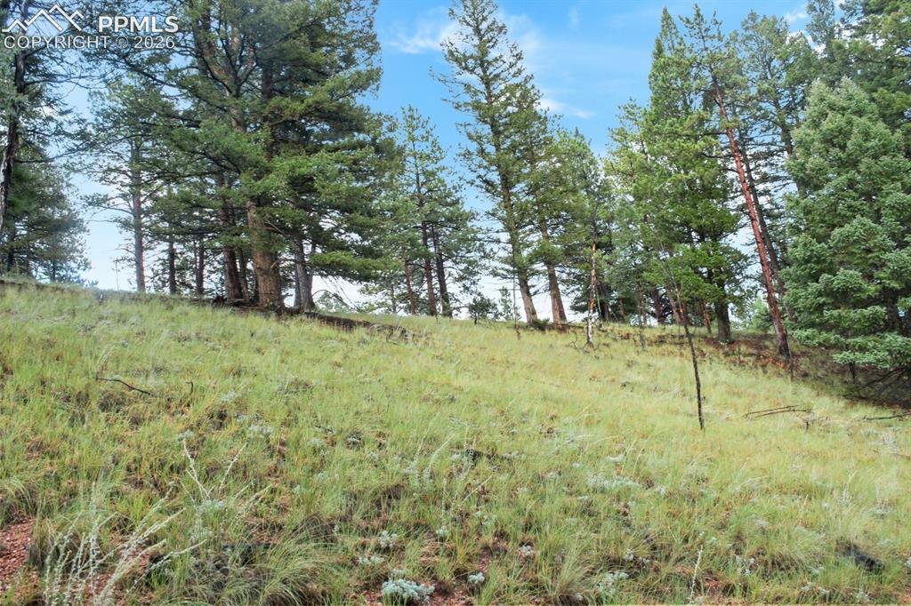 131 Lost Lake Circle Divide CO 80814