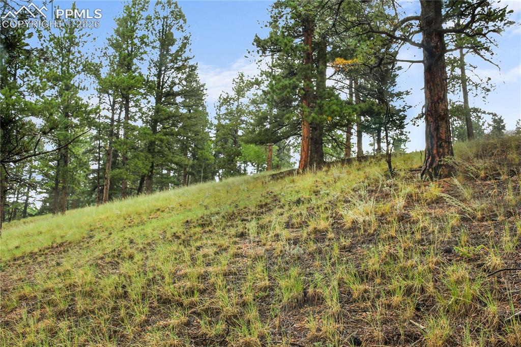 131 Lost Lake Circle Divide CO 80814