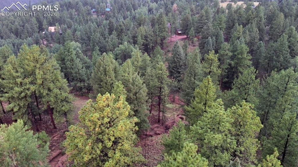 131 Lost Lake Circle Divide CO 80814