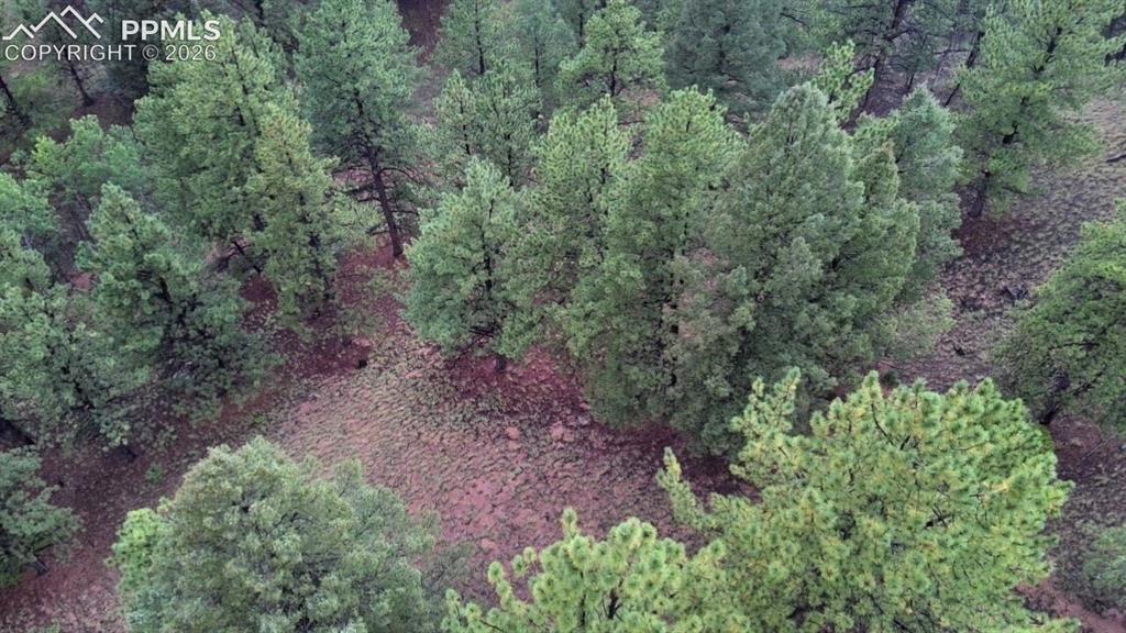 131 Lost Lake Circle Divide CO 80814