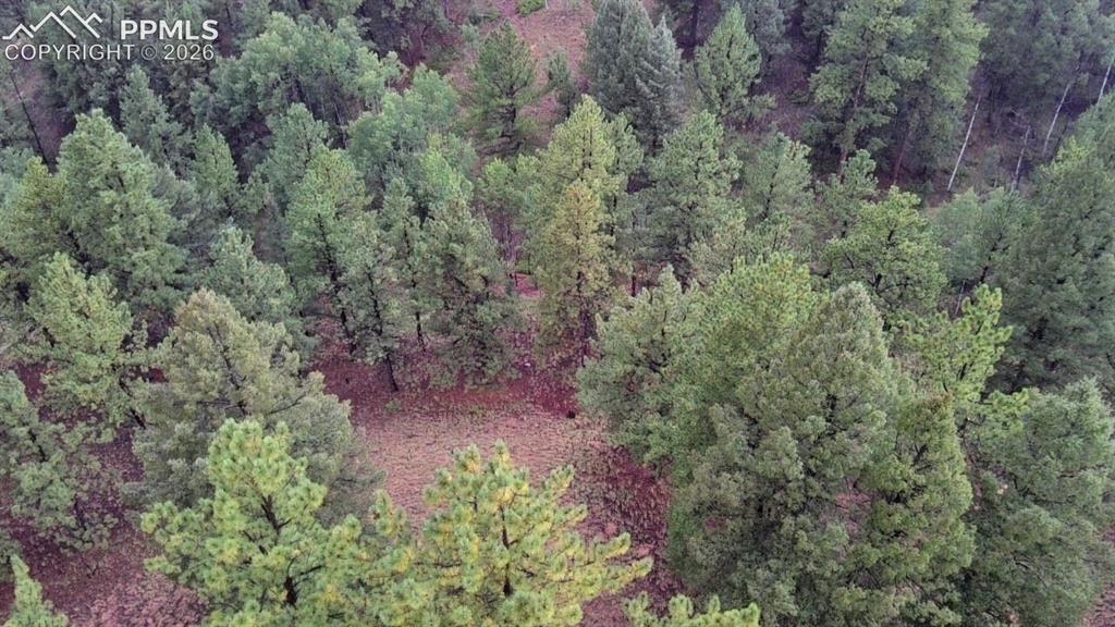 131 Lost Lake Circle Divide CO 80814