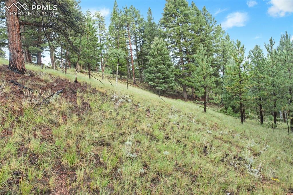 131 Lost Lake Circle Divide CO 80814