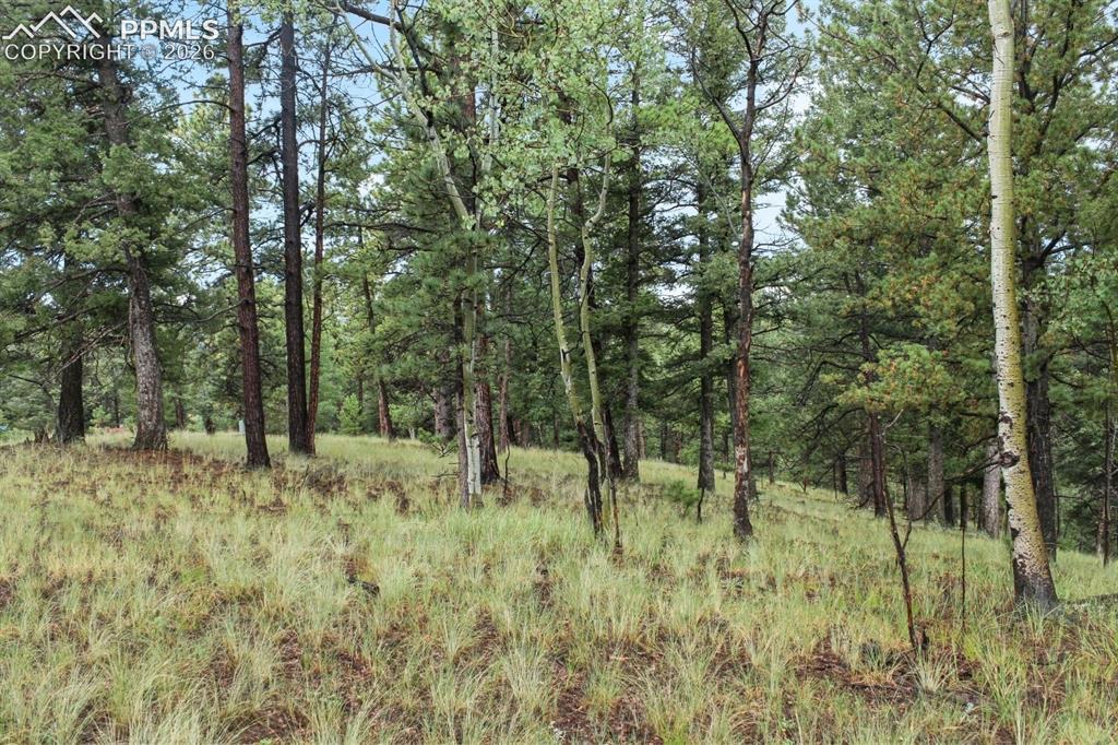 131 Lost Lake Circle Divide CO 80814