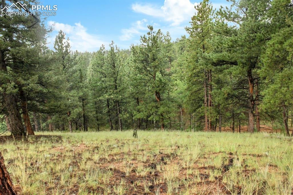 131 Lost Lake Circle Divide CO 80814