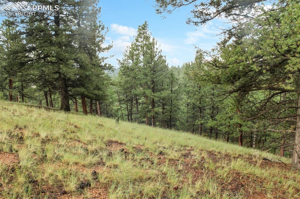 131 Lost Lake Circle Divide CO 80814