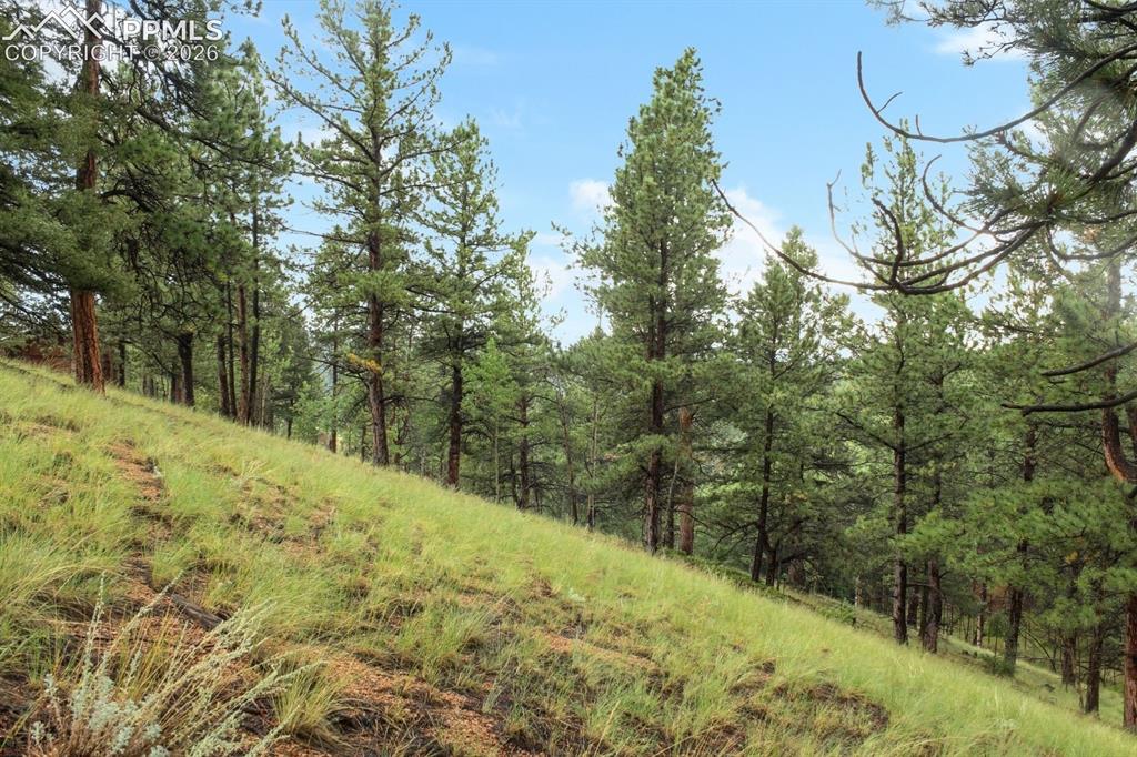 131 Lost Lake Circle Divide CO 80814
