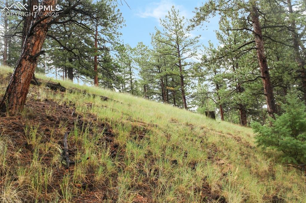 131 Lost Lake Circle Divide CO 80814