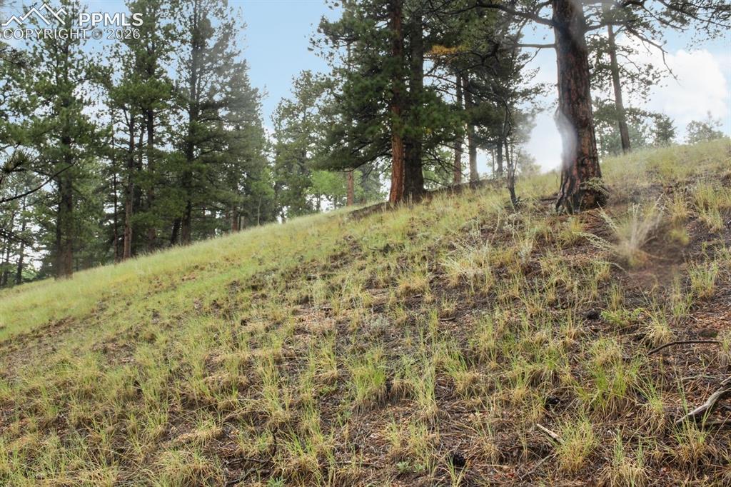 131 Lost Lake Circle Divide CO 80814
