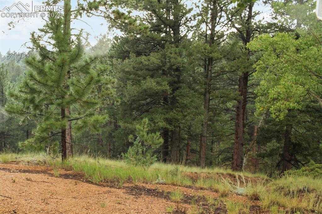 131 Lost Lake Circle Divide CO 80814