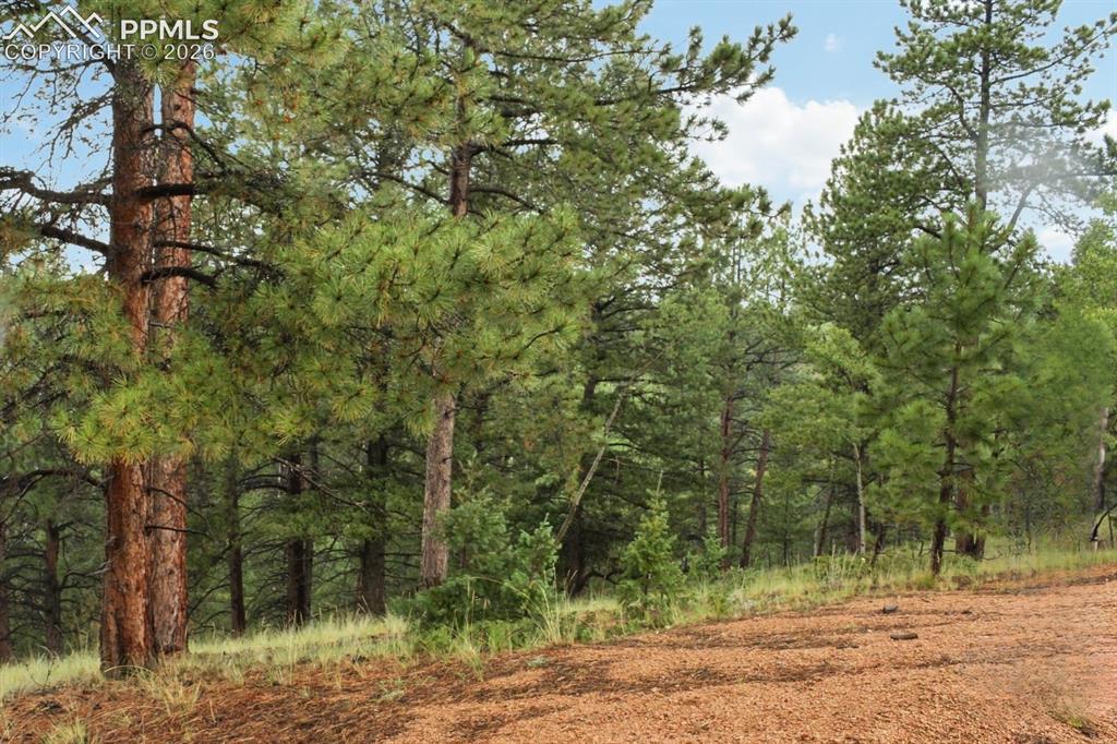 131 Lost Lake Circle Divide CO 80814