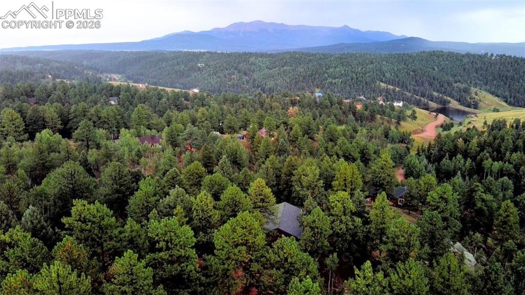 131 Lost Lake Circle Divide CO 80814
