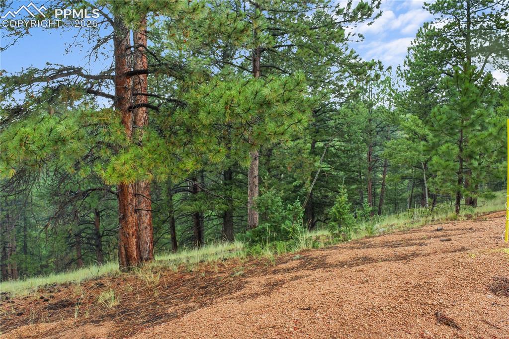 131 Lost Lake Circle Divide CO 80814