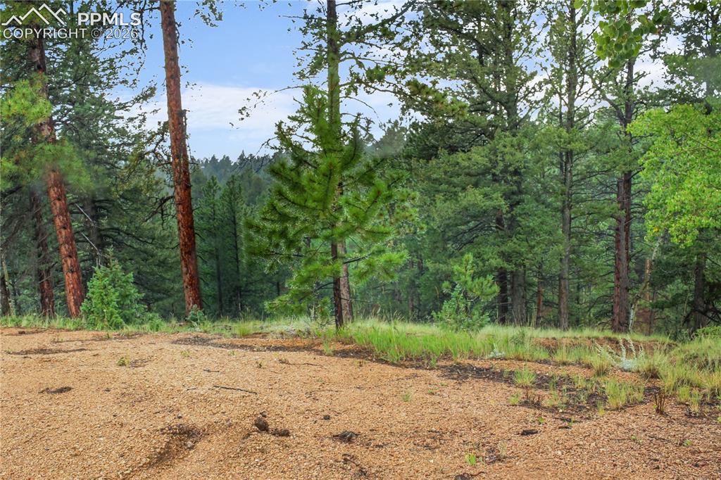 131 Lost Lake Circle Divide CO 80814