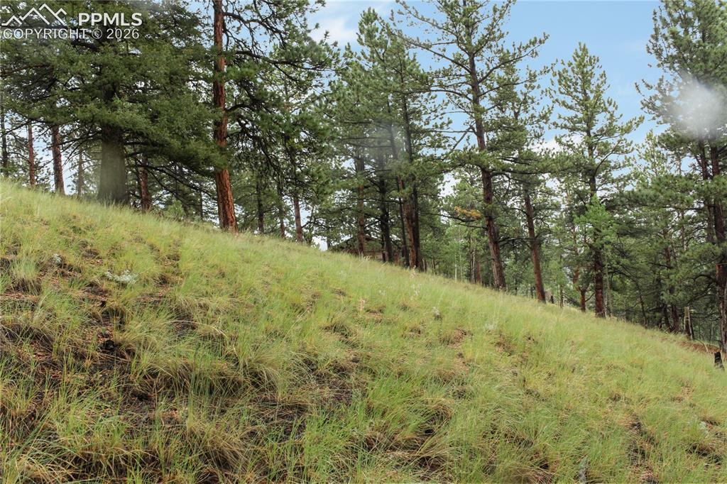 131 Lost Lake Circle Divide CO 80814