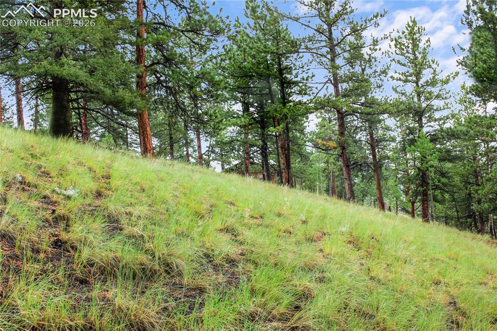 131 Lost Lake Circle Divide CO 80814