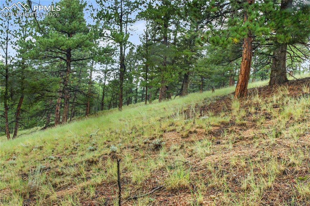131 Lost Lake Circle Divide CO 80814