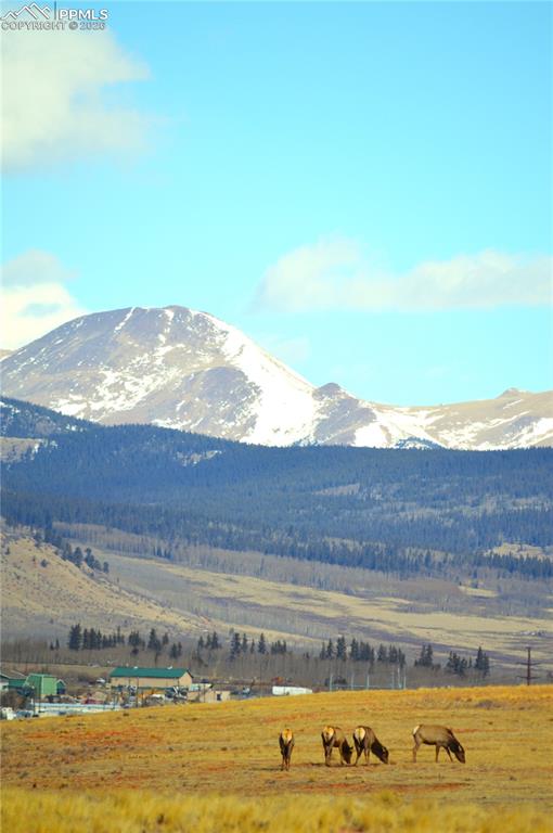 20400 Highway 285 Fairplay CO 80440